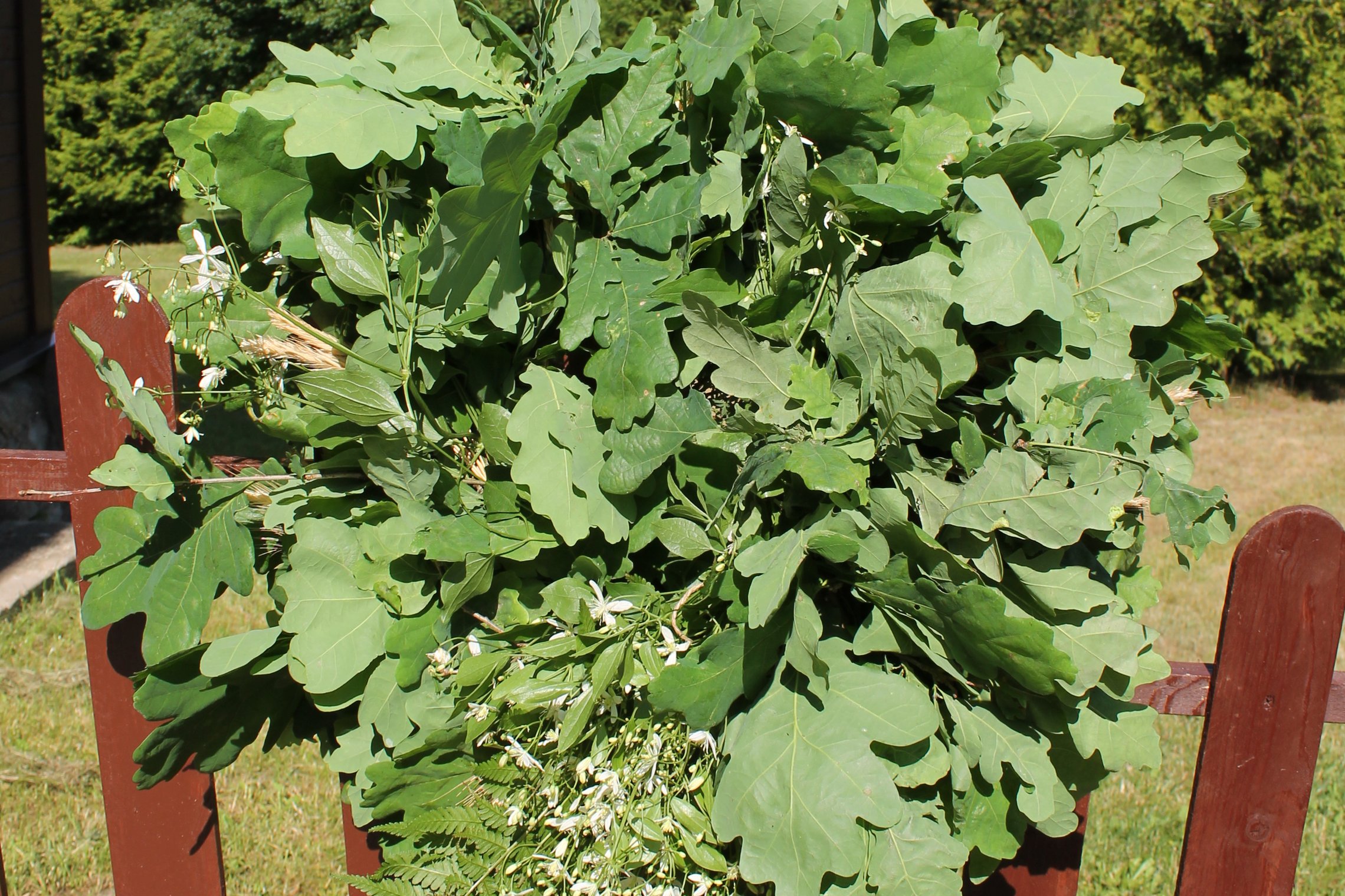 Iliustracija