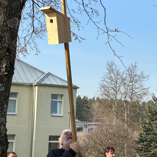 Iliustracija